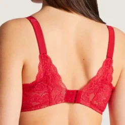 AubadeSoutien-gorge plongeant armatures rouge en dentelle- Rosessence