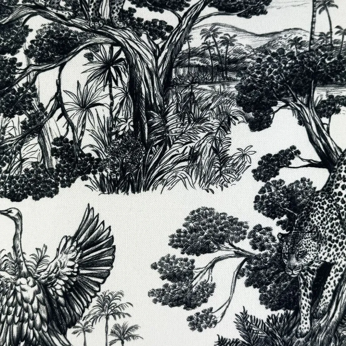 BecquetCoussin en coton noir - ANIMALIA