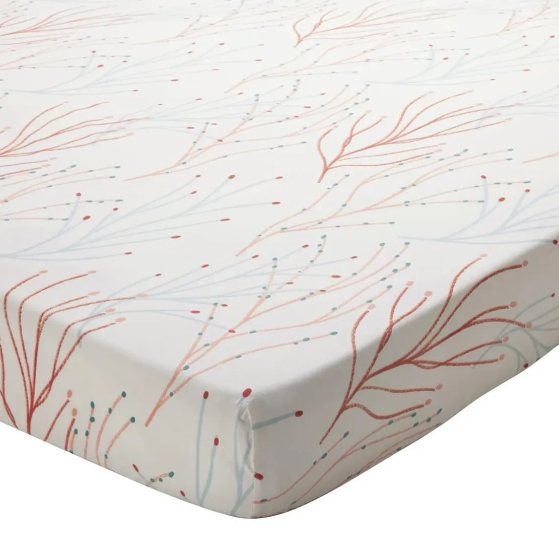 BecquetDrap housse en percale de coton écru - CORAL REEF