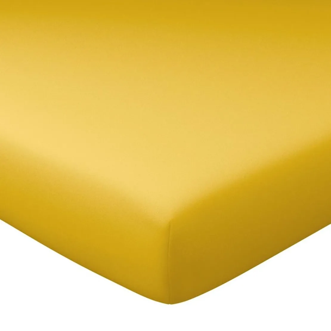 BecquetDrap-housse grands bonnets 30 cm en jersey coton LAUREAT Jaune Ocre