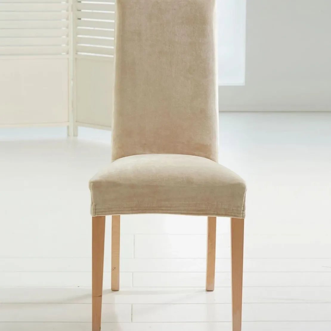 BecquetHousse de chaise bi-extensible microfibre beige - SUSIE
