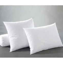 BecquetOreiller antiacariens duvet canard BecquetBlanc