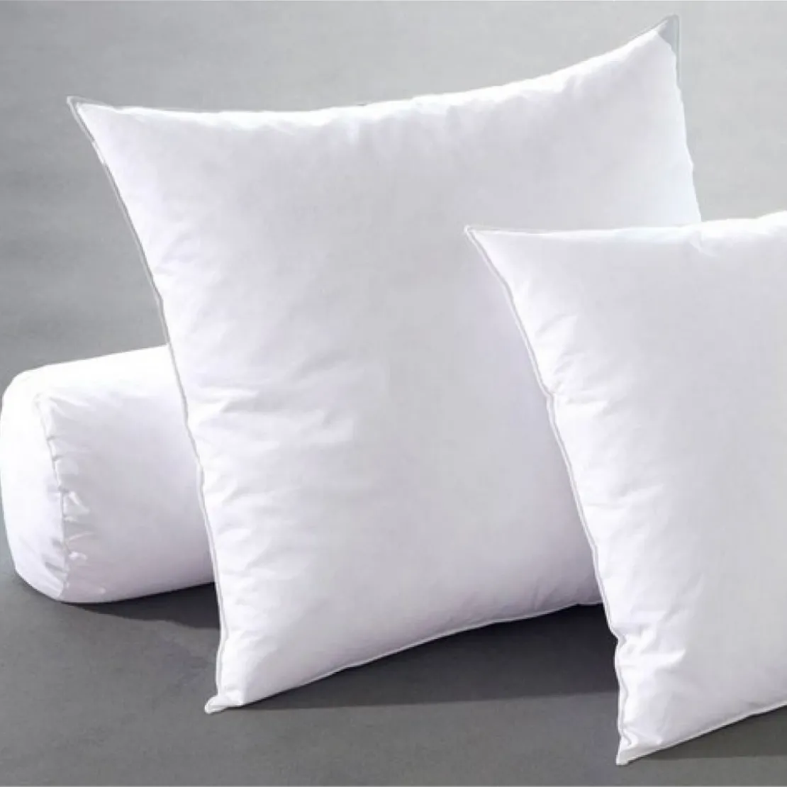 BecquetOreiller antiacariens duvet canard BecquetBlanc