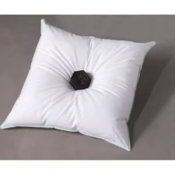 BecquetOreiller Moelleux Antitranspiration