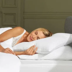 BecquetOreiller moelleux 70% duvet d’oie et canard blanc uni anti-tache - PHENIX