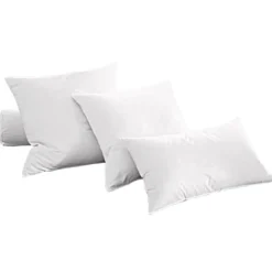 BecquetOreiller moelleux 70% duvet d’oie et canard blanc uni anti-tache - PHENIX
