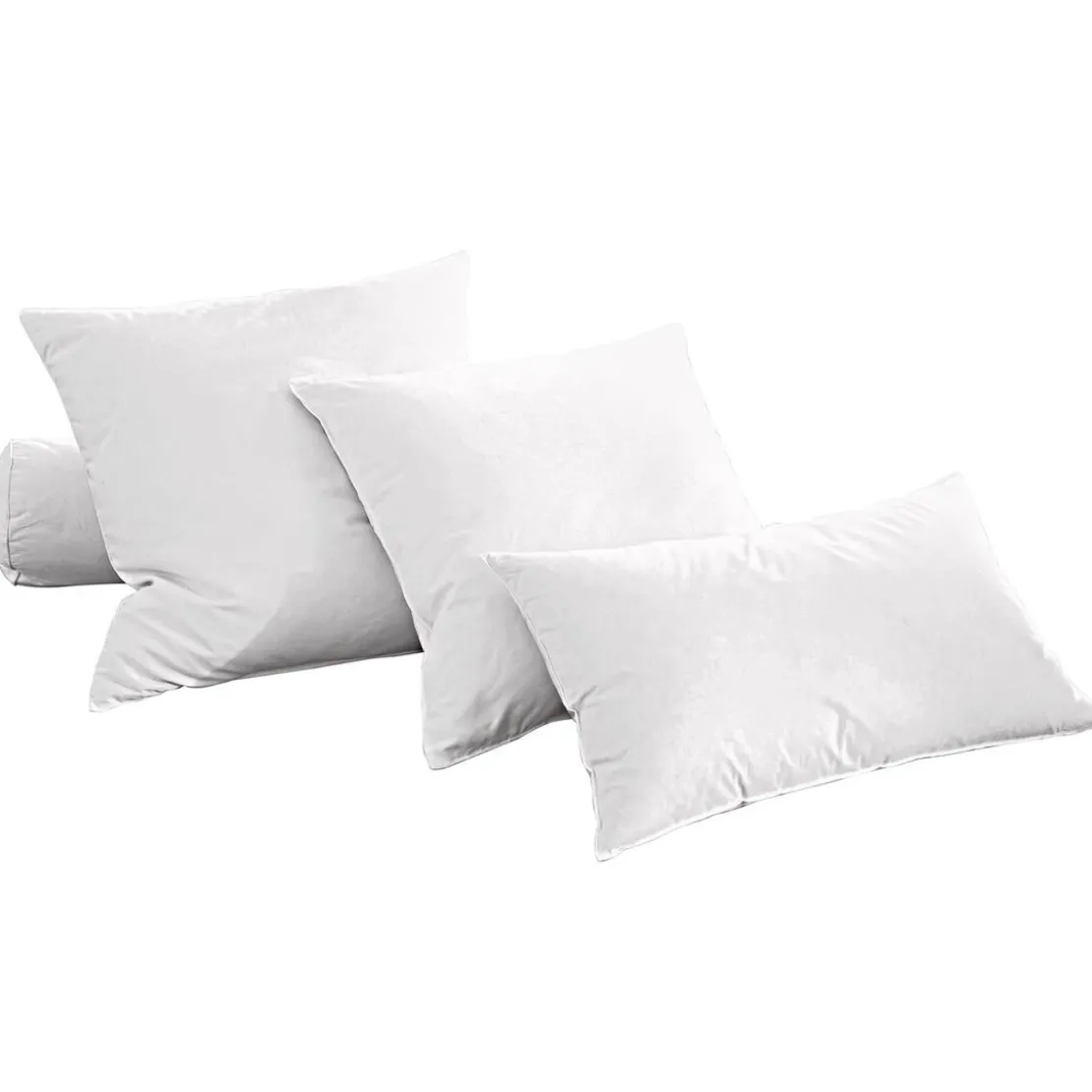 BecquetOreiller moelleux 70% duvet d’oie et canard blanc uni anti-tache - PHENIX