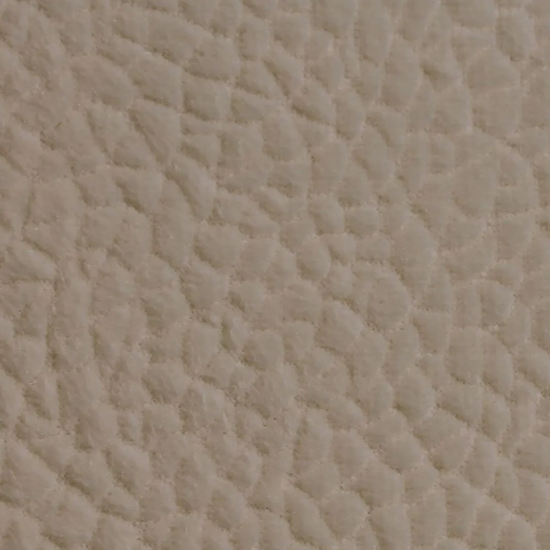 BecquetProtège canapé universels aspect velours "grainé"- Beige