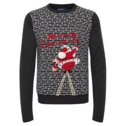 BlendPull de Noel homme bleu marine