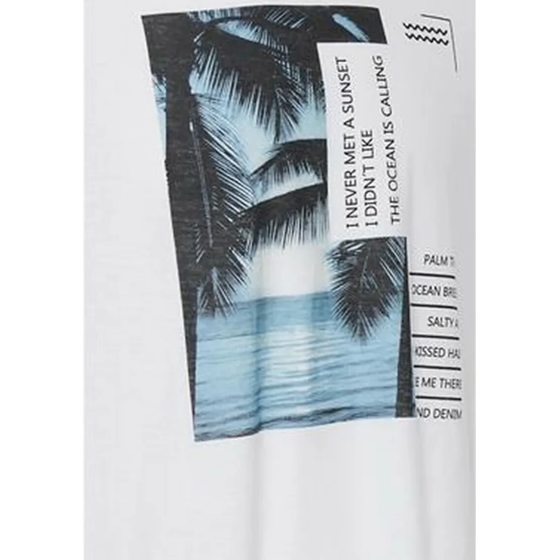 BlendTee-shirt manches courtes homme blanc en coton
