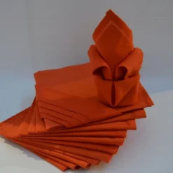 CalitexLot de 12 Serviettes ARC EN CIEL Paprika 44 x 44 cm