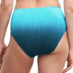 Chantelle Bainculotte taille haute- Pulp