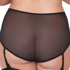 Curvy KateSlip taille haute avec porte jarretelles amovibles noir- Deluxe