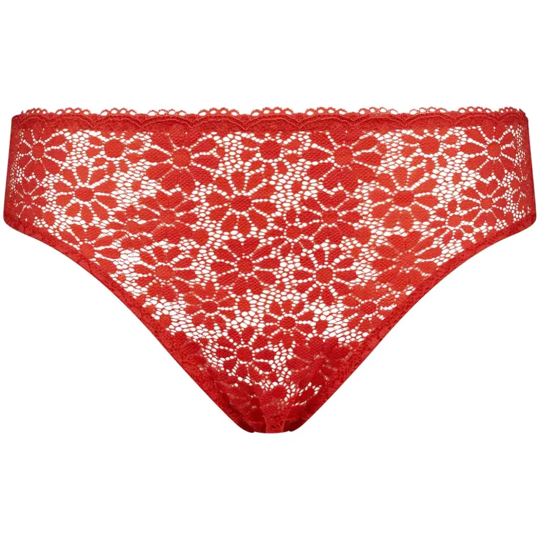 DimCulotte Generous Rouge- Generous Lim Edition Daisy Bloom