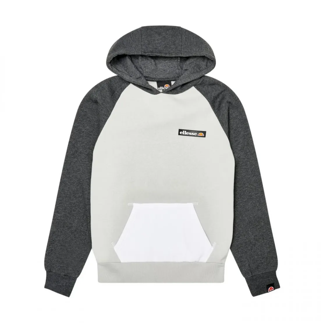 Ellesse VêtementsSweat à capuche garçon FREDDI gris clair