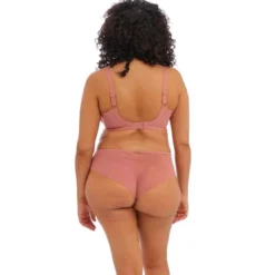 ElomiCulotte brésilienne avec Dentelle et Broderie en Perles - Rose - Elomi - Priya