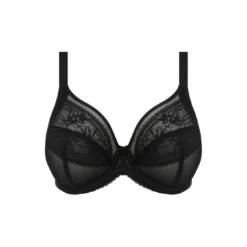 ElomiSoutien Gorge Plongeant - Noir KENDRA- KENDRA
