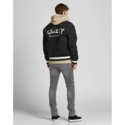 Jack & JonesJean slim Fit Gris en coton Owen