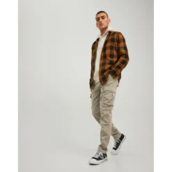 Jack & JonesPantalon cargo Carrot Fit Gris beige en coton