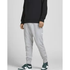 Jack & JonesPantalon de survêtement Slim Fit Gris Clair