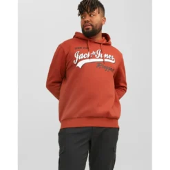 Jack & JonesSweat à capuche Regular Fit Manches longues Rouge foncé Luka