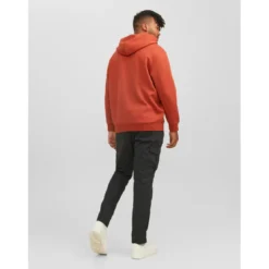 Jack & JonesSweat à capuche Regular Fit Manches longues Rouge foncé Luka