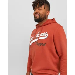 Jack & JonesSweat à capuche Regular Fit Manches longues Rouge foncé Luka
