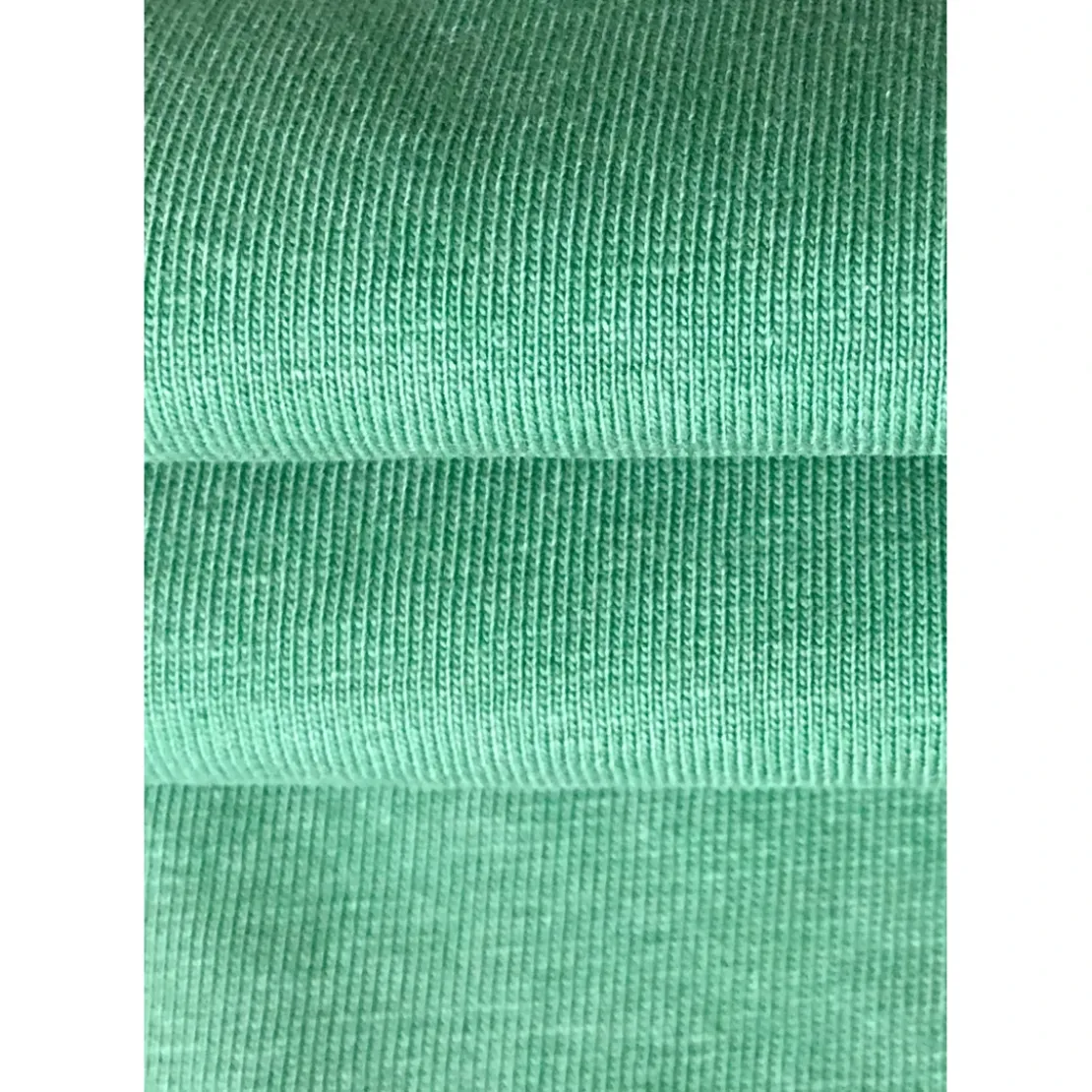 KaporalTee Shirt Manches Courtes en coton JOEY Green vert