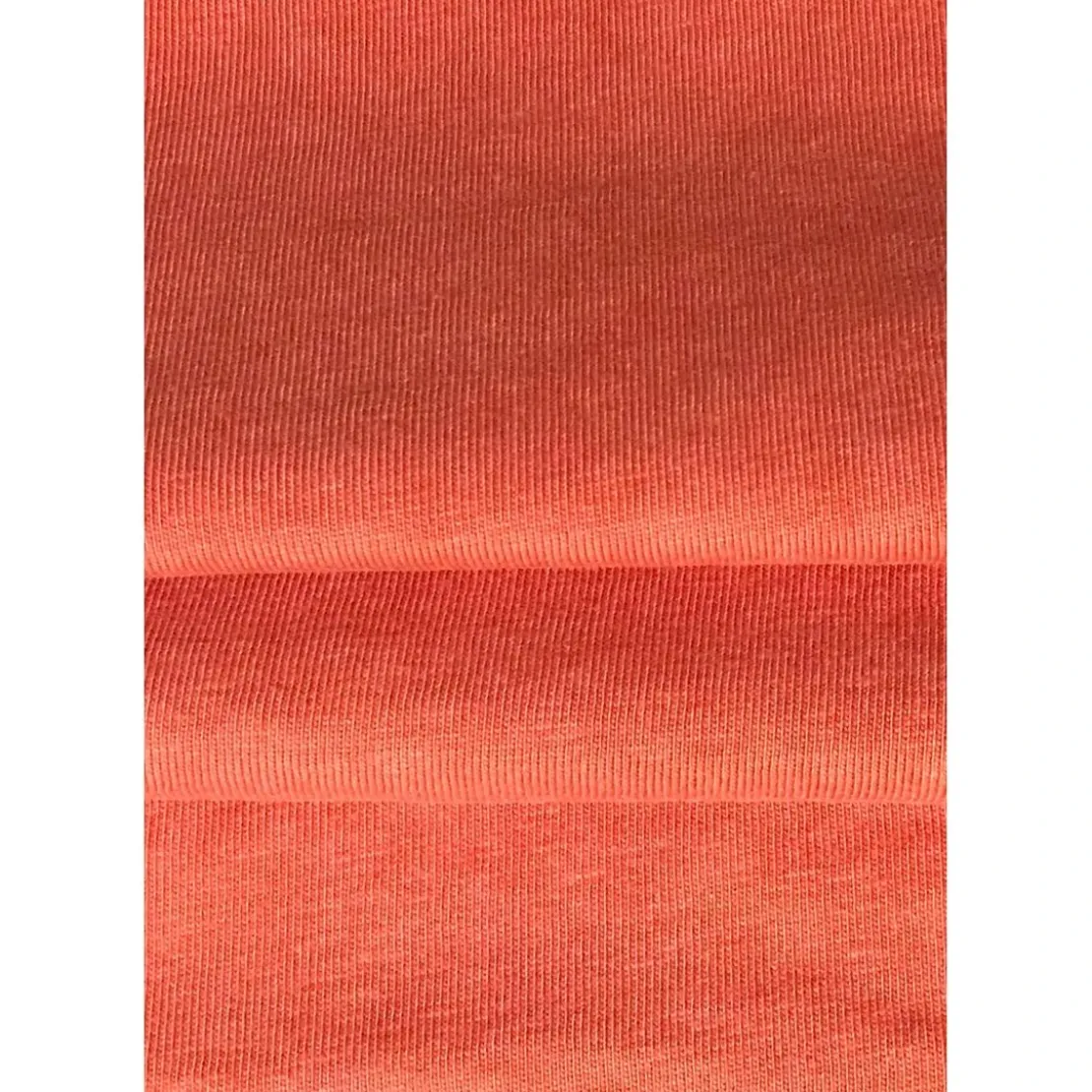 KaporalTee Shirt Manches Courtes en coton JOEY Orange
