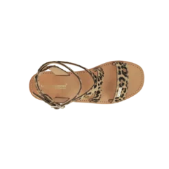 Les Tropéziennes par M.BelarbiHOCEANPO LEOPARD