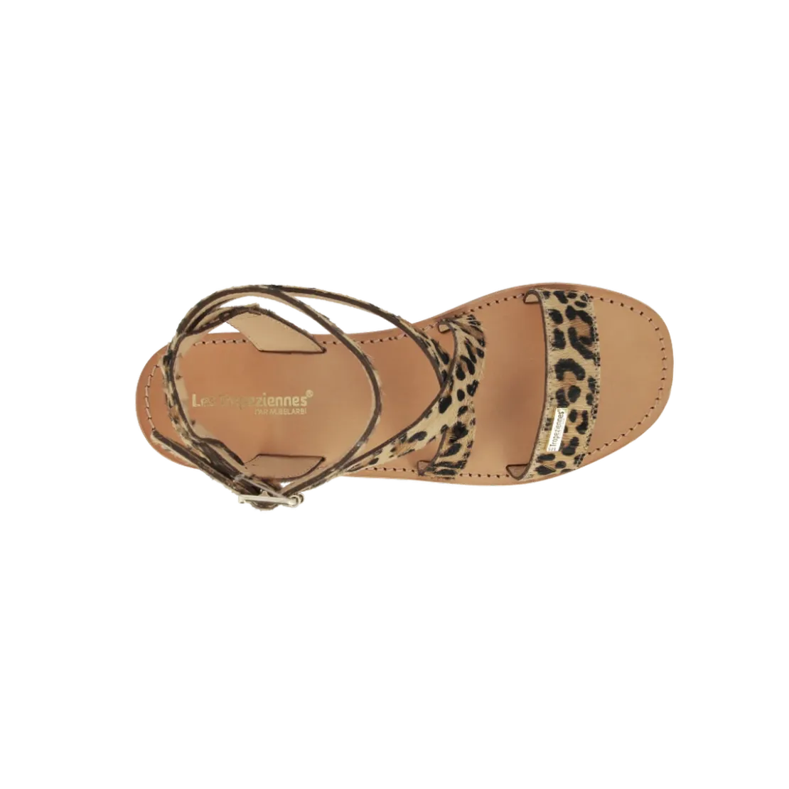 Les Tropéziennes par M.BelarbiHOCEANPO LEOPARD