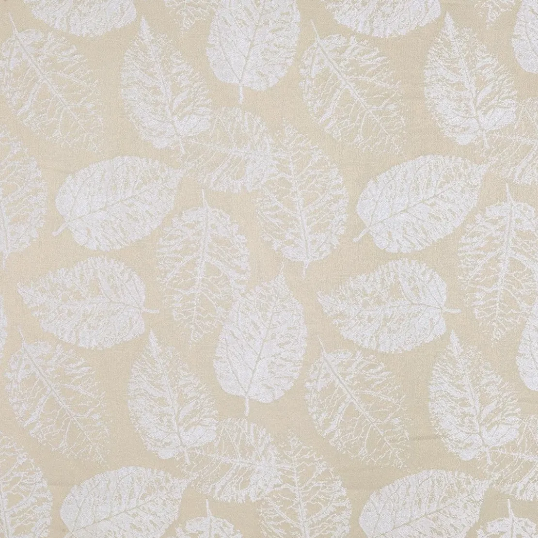 LinderRideau oeillet FOGLIO beige