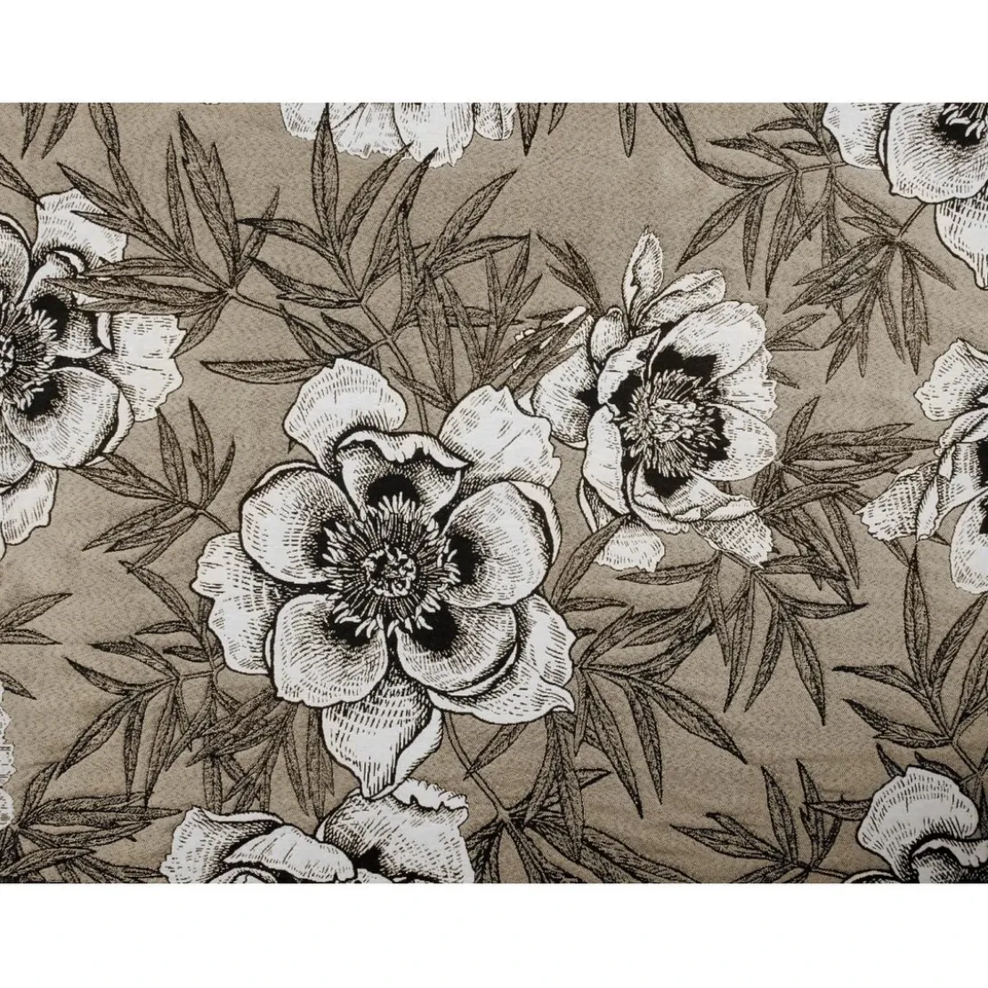 LinderRideau oeillet PEONIA taupe