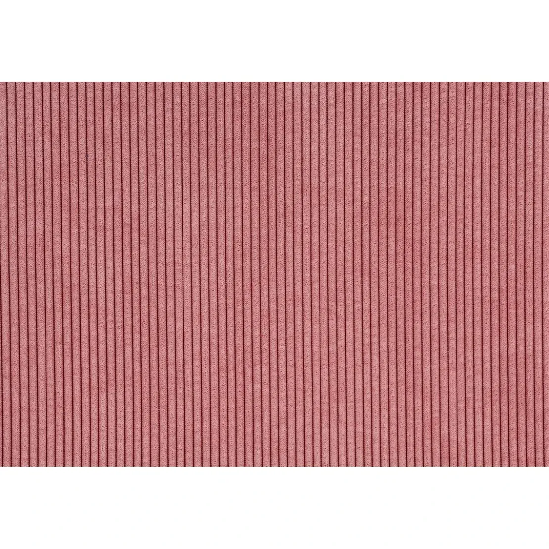 LinderRideau Thermique Phonique Oeillet Alberta rose clair