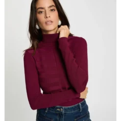 MorganPull col montant en viscose Prune