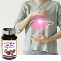 Nutri-expertChardon Marie Détoxification du Foie