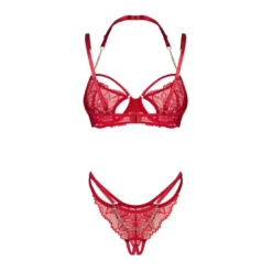 ObsessiveMatildea - Ensemble lingerie ouverte rouge- Matildea