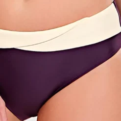 Panache maillotsSlip de bain classique - Violet