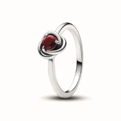 PandoraBague Cercles de l’Éternité - Pandora Moments