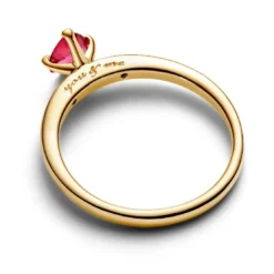 PandoraBague Explosion d'Amour