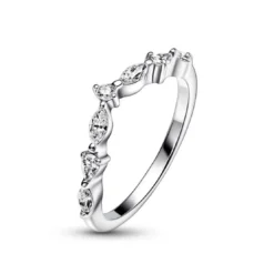 PandoraBague Pandora Timeless - Vœu Alternance Scintillante