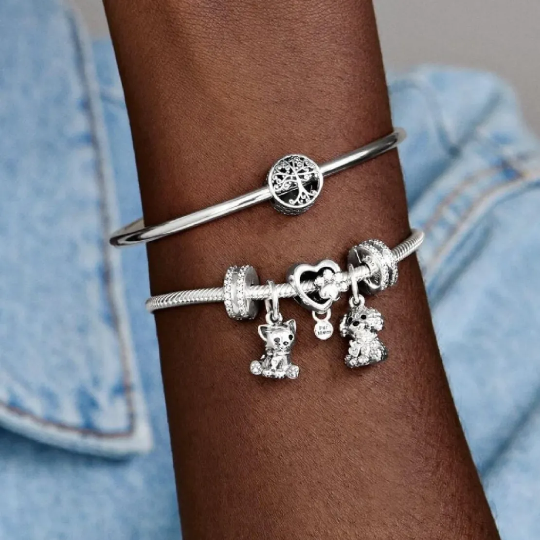 PandoraCharm Clip Pavé Double Rang Pandora Moments