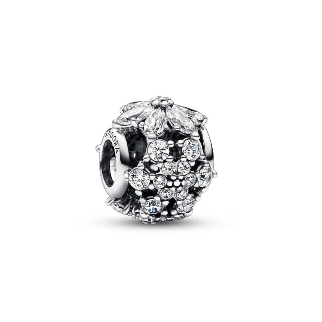 PandoraCharm Rond Herbier Scintillant Pandora Timeless