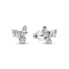 PandoraClous d’Oreilles Pandora Timeless - Herbier Scintillant