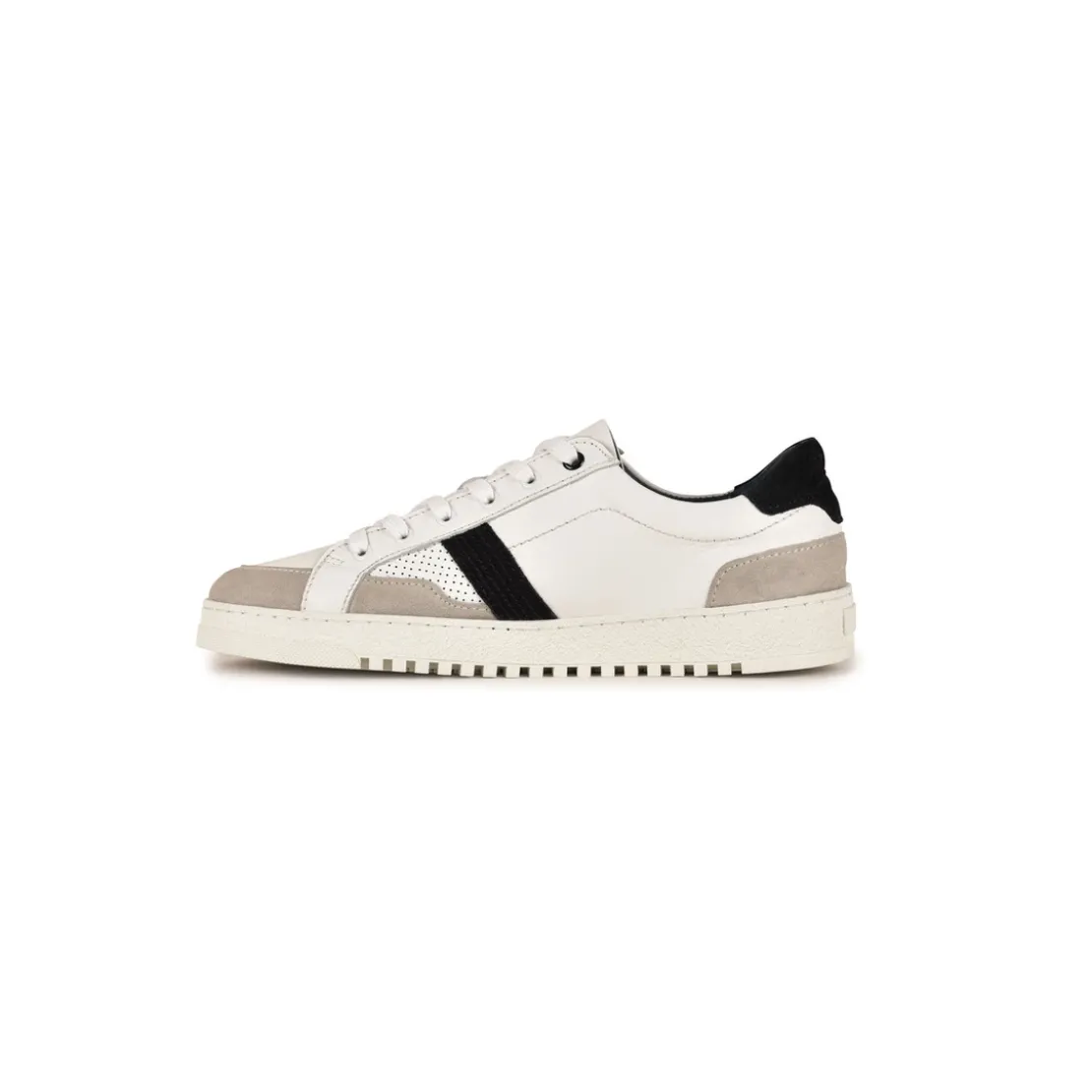 PataugasBasketsHomme MARCEL Bleu marine - Pataugas en cuir