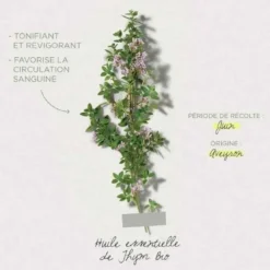 PayotHuile Herbier Revitalisante Et Détoxifiante Au Thym Herbier95 ml