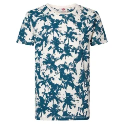 PetrolTee-shirt à manches courtes pour garçon en coton blanc