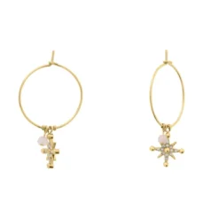 Pierre Lannier BijouxBoucles oreilles Pierre Lannier Bijoux Australe - BJ22A2251 Acier Doré