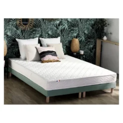 SeleniaEnsemble Matelas Ressorts Fermes biconiques SPECTOS + Sommier Made in France - Sommier Vert céladon