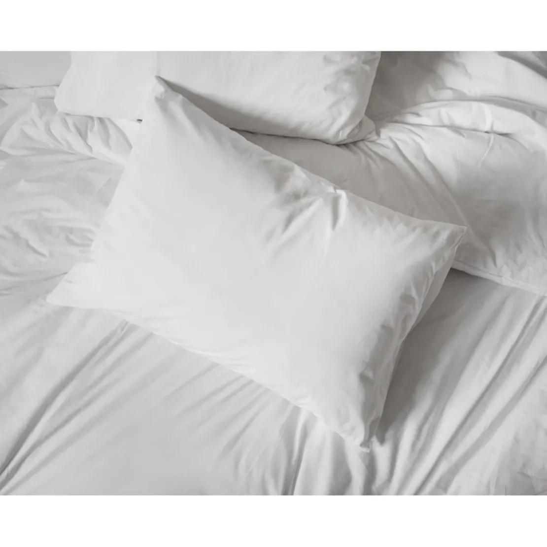SeleniaOreiller coton bio